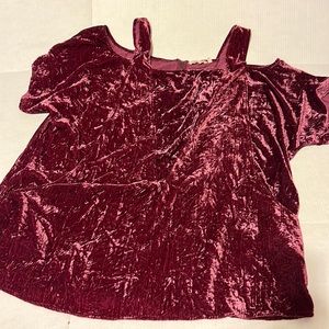 Softsurroundings Velvet Plus size Tunic